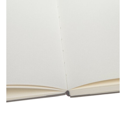 Скетчбук для акварели, 200 г/м2, 148х210 мм, среднее зерно, 40 л., книжный переплет, BRAUBERG ART PREMIERE, 113262