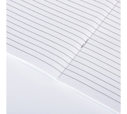 Дневник читательский А5, 40 л., скоба, обложка картон, ПИФАГОР, 