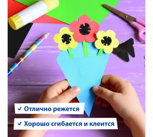 Картон цветной А4 ТОНИРОВАННЫЙ В МАССЕ, 50 листов, ЧЕРНЫЙ, в пленке, 220 г/м2, BRAUBERG, 210х297 мм, 113506