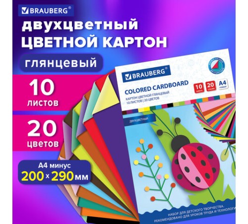 Картон цветной А4 2-цветный МЕЛОВАННЫЙ, 10 листов, 20 цветов, в папке, BRAUBERG, 200х290 мм, 113553