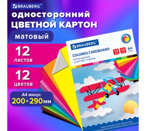 Картон цветной А4 немелованный, 12 листов 12 цветов, в папке, BRAUBERG, 200х290 мм, 