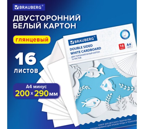 Картон белый А4 МЕЛОВАННЫЙ (белый оборот), 16 листов, в папке, BRAUBERG, 200х290 мм, 113561