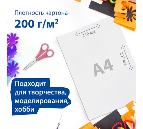 Картон белый А4 МЕЛОВАННЫЙ (белый оборот), 50 листов, в коробке, BRAUBERG, 210х297 мм, 113562