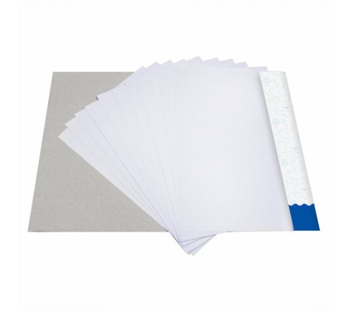 Картон белый А4 немелованный, 10 листов, в папке, BRAUBERG, 200х290 мм, 