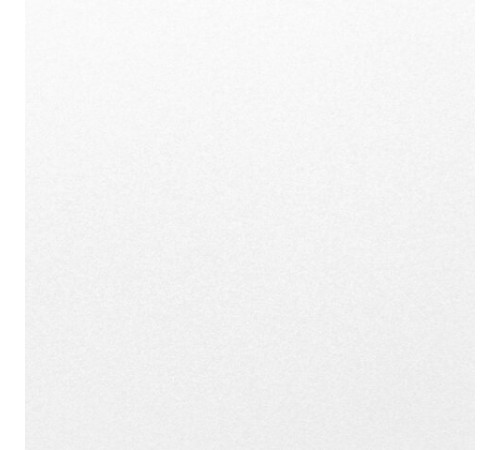 Картон белый А4 немелованный, 10 листов, в папке, BRAUBERG, 200х290 мм, 