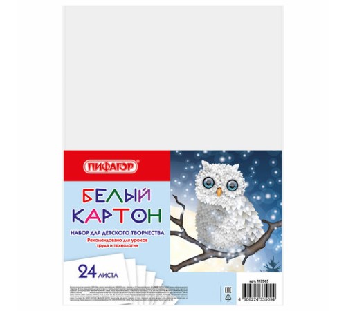 Картон белый А4 немелованный (матовый), 24 листа, ПИФАГОР, 200х290 мм, 
