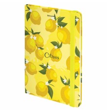 Блокнот с резинкой без линовки 96 л., А5 (145х203 мм), твердая обложка, BRAUBERG, 