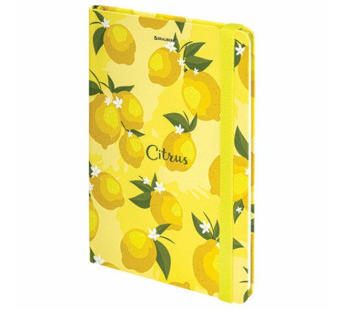 Блокнот с резинкой без линовки 96 л., А5 (145х203 мм), твердая обложка, BRAUBERG, 