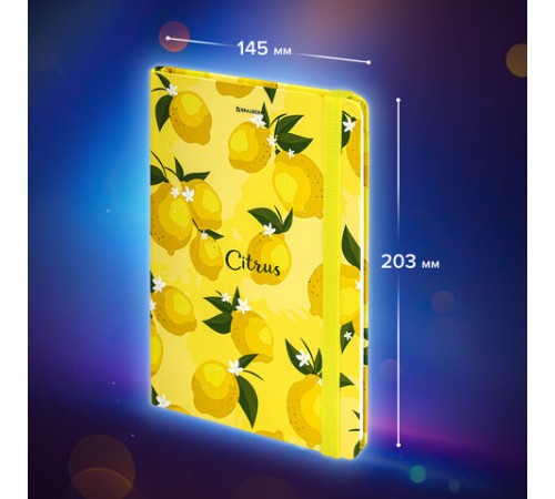 Блокнот с резинкой без линовки 96 л., А5 (145х203 мм), твердая обложка, BRAUBERG, 