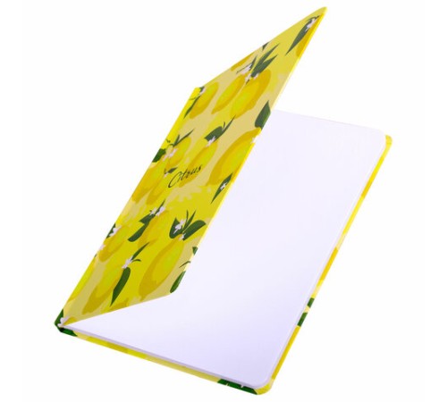 Блокнот с резинкой без линовки 96 л., А5 (145х203 мм), твердая обложка, BRAUBERG, 