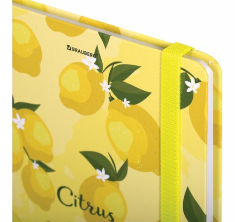 Блокнот с резинкой без линовки 96 л., А5 (145х203 мм), твердая обложка, BRAUBERG, 