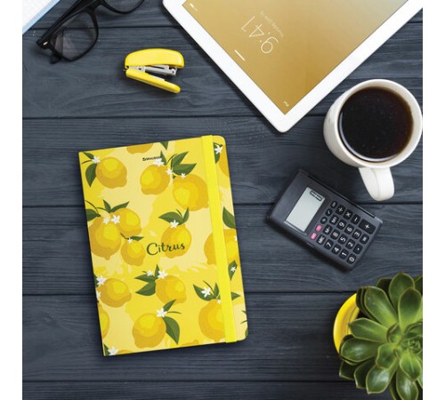 Блокнот с резинкой без линовки 96 л., А5 (145х203 мм), твердая обложка, BRAUBERG, 