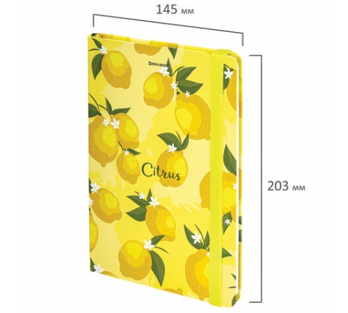 Блокнот с резинкой без линовки 96 л., А5 (145х203 мм), твердая обложка, BRAUBERG, 