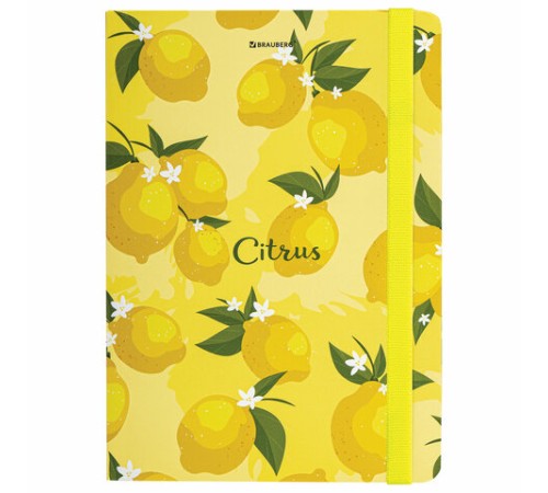 Блокнот с резинкой без линовки 96 л., А5 (145х203 мм), твердая обложка, BRAUBERG, 