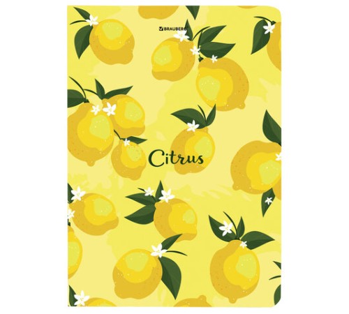 Блокнот с резинкой без линовки 96 л., А5 (145х203 мм), твердая обложка, BRAUBERG, 