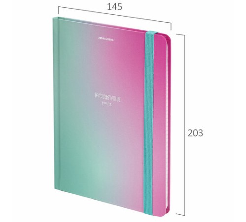 Блокнот с резинкой в клетку 96 л., А5 (145х203 мм), твердая обложка с фольгой, BRAUBERG, 