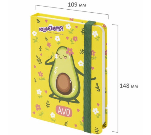 Блокнот с резинкой в клетку 96 л., МАЛЫЙ ФОРМАТ А6 (109х148 мм), твердая обложка, ЮНЛАНДИЯ, 