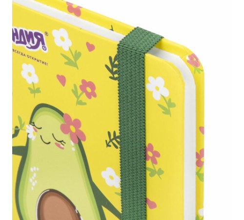 Блокнот с резинкой в клетку 96 л., МАЛЫЙ ФОРМАТ А6 (109х148 мм), твердая обложка, ЮНЛАНДИЯ, 