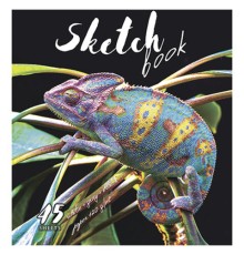 Скетчбук, белая, серая, черная бумага 120 г/м2, 170х195 мм, 45 л., скрепка, фольга, 