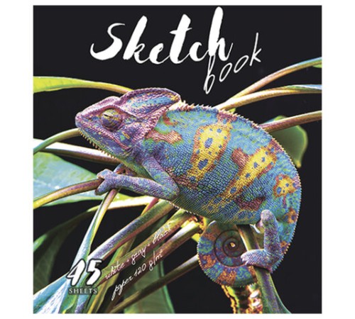 Скетчбук, белая, серая, черная бумага 120 г/м2, 170х195 мм, 45 л., скрепка, фольга, 