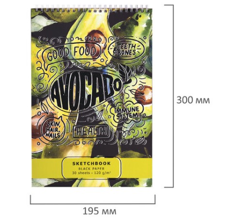 Скетчбук, черная бумага 120 г/м2, 195х300 мм, 30 л., гребень, SoftTouch, выборочный лак, 
