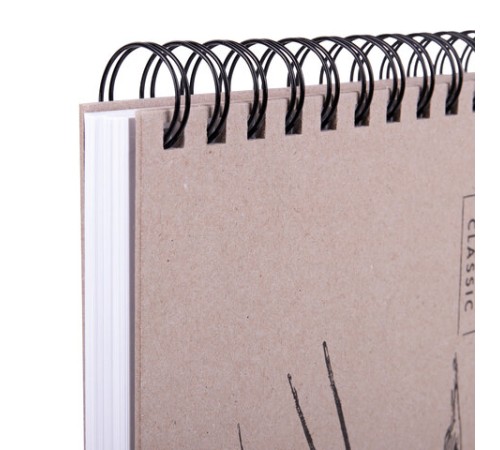 Скетчбук, белая бумага 190 г/м2, 297х210 мм, 60 л., гребень, твердая обложка, BRAUBERG ART CLASSIC, 113853