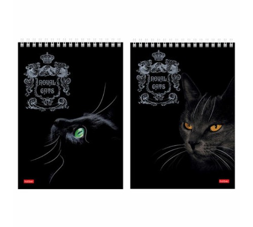 Блокнот А5 146х215 мм, 80 л., гребень, клетка, ламинация, 3D фольга, HATBER, 