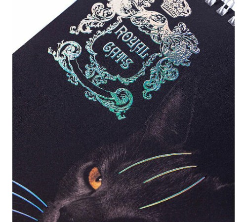 Блокнот А5 146х215 мм, 80 л., гребень, клетка, ламинация, 3D фольга, HATBER, 