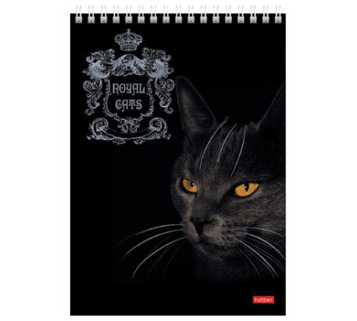 Блокнот А5 146х215 мм, 80 л., гребень, клетка, ламинация, 3D фольга, HATBER, 