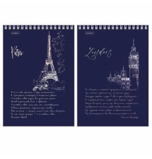 Блокнот А5 146х215 мм, 80 л., гребень, клетка, ламинация, 3D фольга, HATBER, 