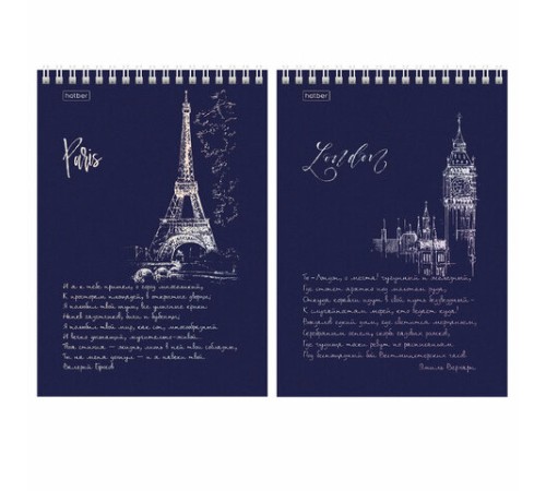 Блокнот А5 146х215 мм, 80 л., гребень, клетка, ламинация, 3D фольга, HATBER, 