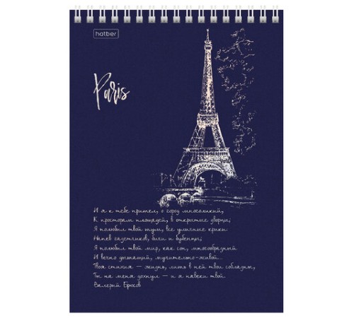 Блокнот А5 146х215 мм, 80 л., гребень, клетка, ламинация, 3D фольга, HATBER, 