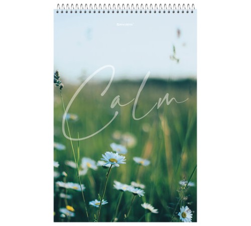 Блокнот БОЛЬШОЙ ФОРМАТ А4 198х297 мм, 80 л., гребень, жесткая подложка, клетка, BRAUBERG, 