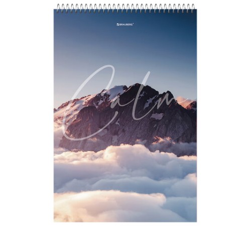 Блокнот БОЛЬШОЙ ФОРМАТ А4 198х297 мм, 80 л., гребень, жесткая подложка, клетка, BRAUBERG, 