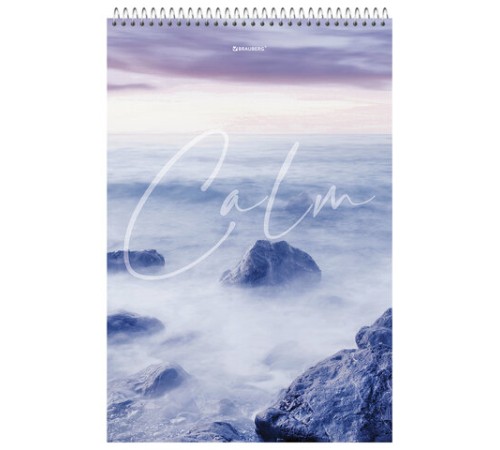 Блокнот БОЛЬШОЙ ФОРМАТ А4 198х297 мм, 80 л., гребень, жесткая подложка, клетка, BRAUBERG, 