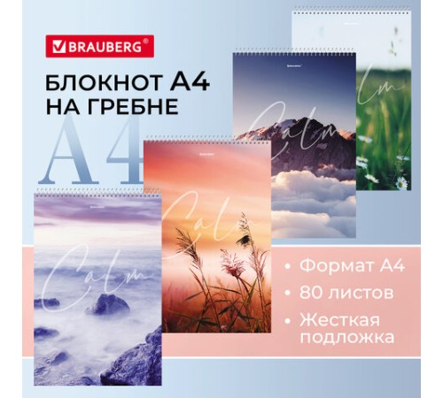Блокнот БОЛЬШОЙ ФОРМАТ А4 198х297 мм, 80 л., гребень, жесткая подложка, клетка, BRAUBERG, 