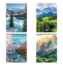 Блокнот А5 (146х206 мм), 60 л., гребень, картон, жесткая подложка, клетка, BRAUBERG, 