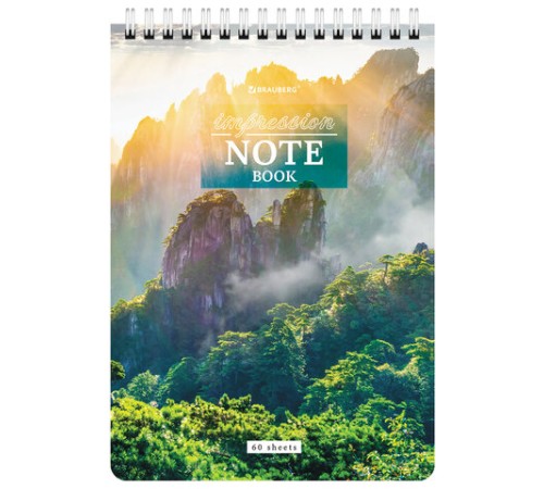 Блокнот А5 (146х206 мм), 60 л., гребень, картон, жесткая подложка, клетка, BRAUBERG, 