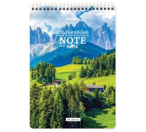 Блокнот А5 (146х206 мм), 60 л., гребень, картон, жесткая подложка, клетка, BRAUBERG, 