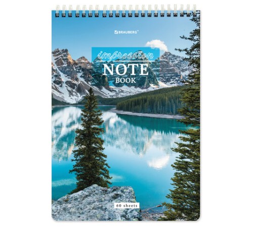 Блокнот А5 (146х206 мм), 60 л., гребень, картон, жесткая подложка, клетка, BRAUBERG, 