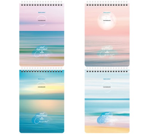 Блокнот А5 (146х206 мм), 60 л., гребень, картон, жесткая подложка, клетка, BRAUBERG, 