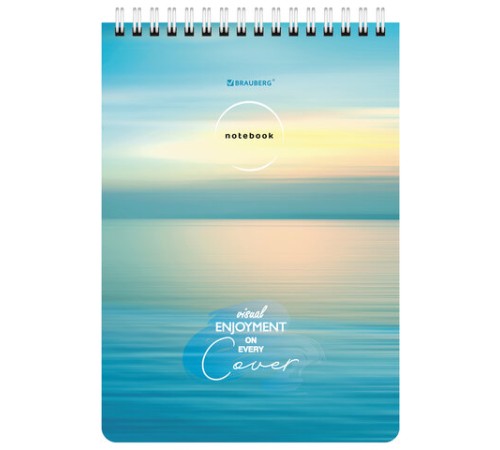 Блокнот А5 (146х206 мм), 60 л., гребень, картон, жесткая подложка, клетка, BRAUBERG, 