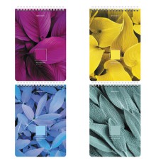 Блокнот А5 (146х206 мм), 80 л., гребень, картон, клетка, BRAUBERG, 