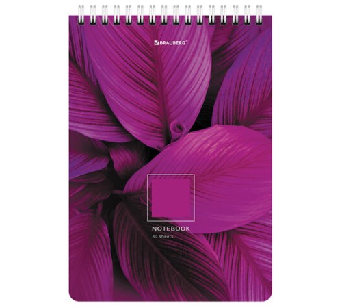 Блокнот А5 (146х206 мм), 80 л., гребень, картон, клетка, BRAUBERG, 