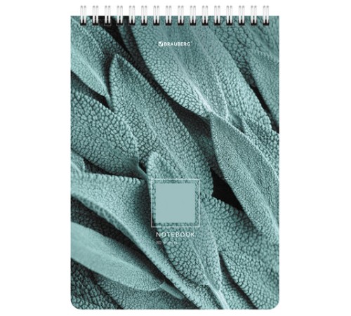 Блокнот А5 (146х206 мм), 80 л., гребень, картон, клетка, BRAUBERG, 