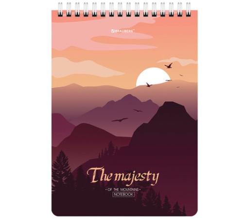 Блокнот А5 (146х206 мм), 80 л., гребень, картон, клетка, BRAUBERG, 