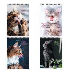 Блокнот А5 (146х206 мм), 80 л., гребень, картон, клетка, BRAUBERG, 