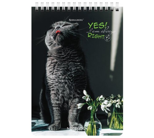 Блокнот А5 (146х206 мм), 80 л., гребень, картон, клетка, BRAUBERG, 