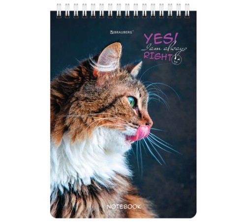 Блокнот А5 (146х206 мм), 80 л., гребень, картон, клетка, BRAUBERG, 