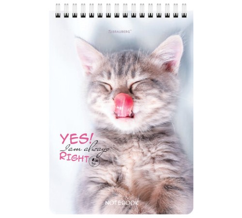 Блокнот А5 (146х206 мм), 80 л., гребень, картон, клетка, BRAUBERG, 